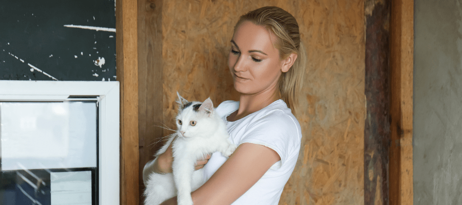 cat with animal shelter volunteer