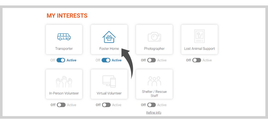 Volunteer - Transport profiles