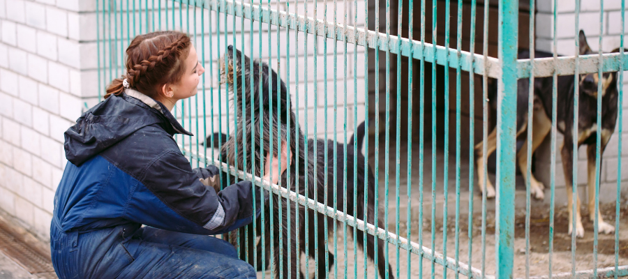 woman and dog at animal shelter