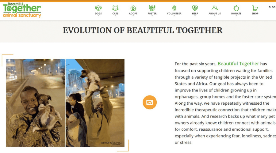 Beautiful Together Dog Sanctuary Provides Pet Adoption Options