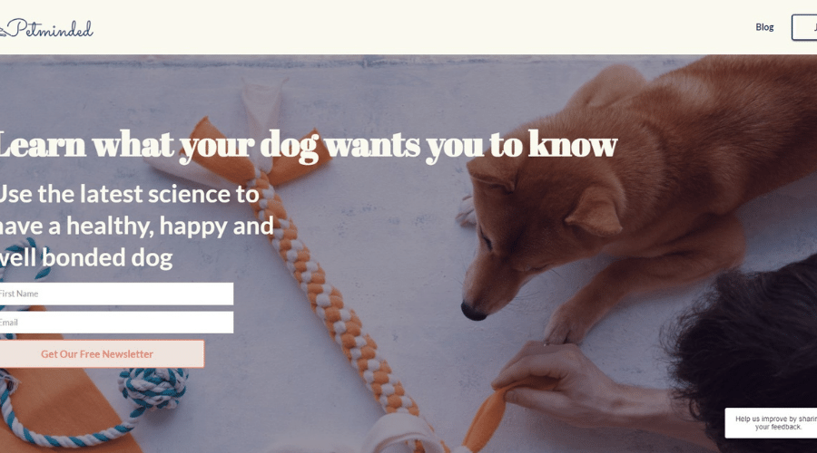 Petminded Makes Dog Science Accessible to Give Dogs a Great Life