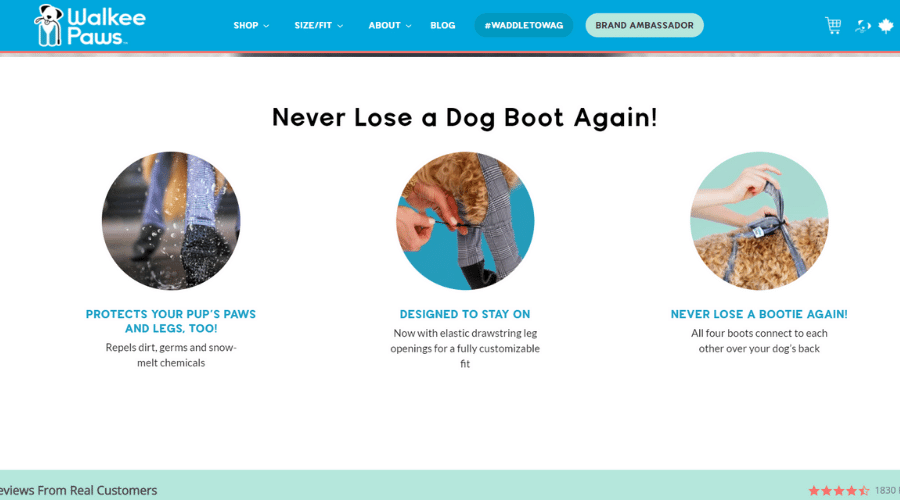 Protect Your Pups With the Best Boots on Your Dog's Paws