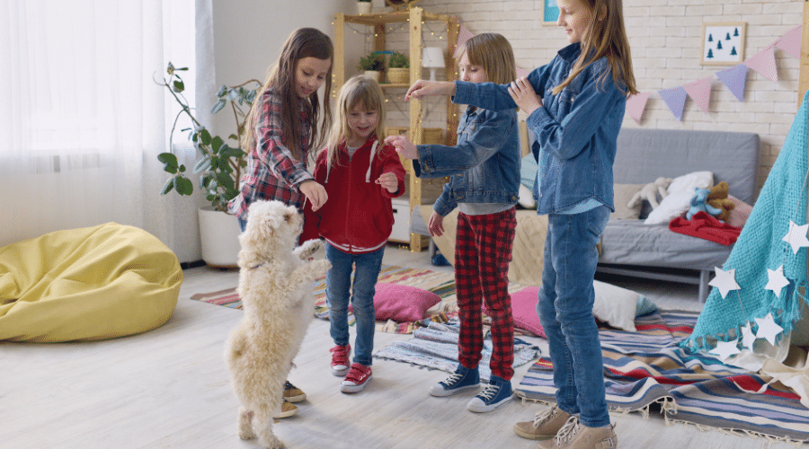 children training their dog