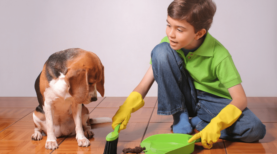 one-eyed leo teaches responsible dog ownership in kids