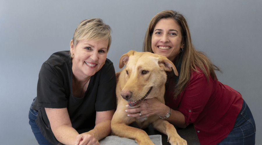 canine grooming academy co-founders bernie machado and rebecca katz