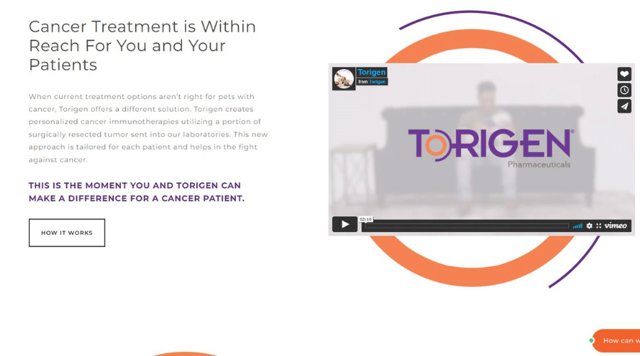 Torigen Pharmaceuticals on providing cancer treatment that is within your reach