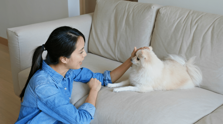 a dog mom calming down her pup