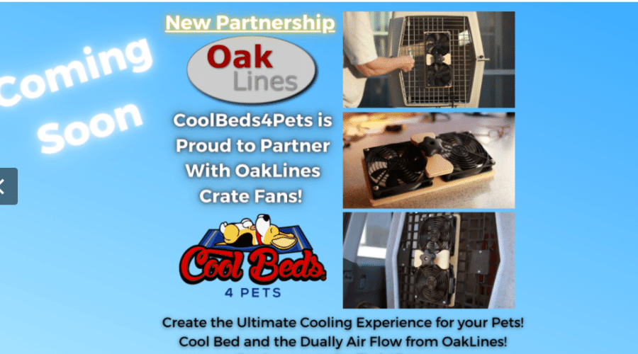 coolbeds4pets cooling down with crate fans