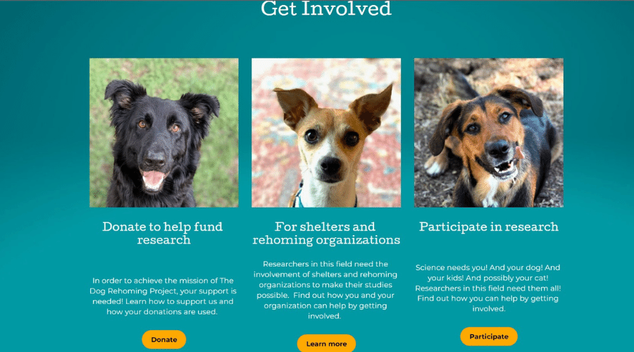 how to get involved with the dog rehoming project