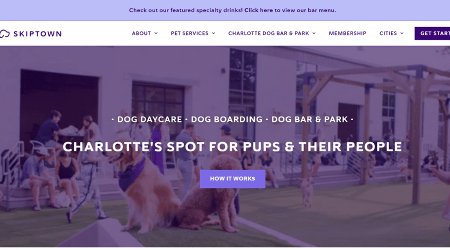 Skiptown perfect spot for pups and their people in Charlotte