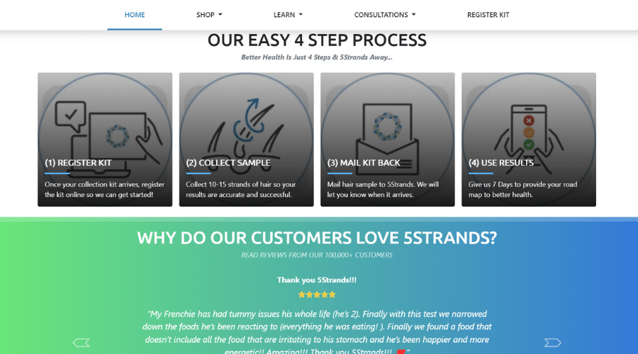 how 5strands affordable testing works