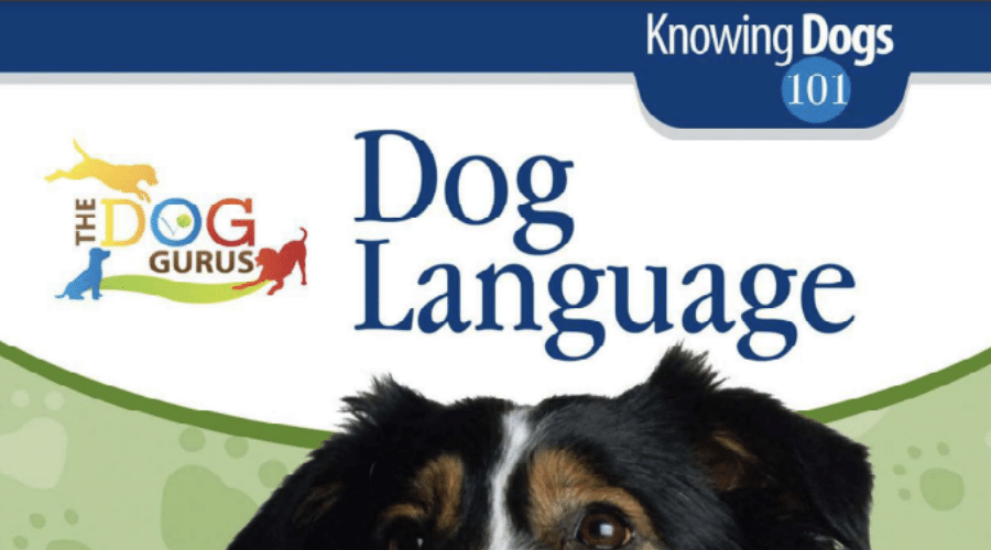 knowing dogs 101 dog language by the dog gurus training material