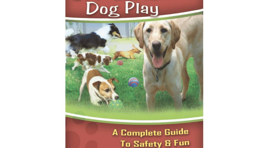 off leash dog play a complete guide to safety & fun with the dog gurus