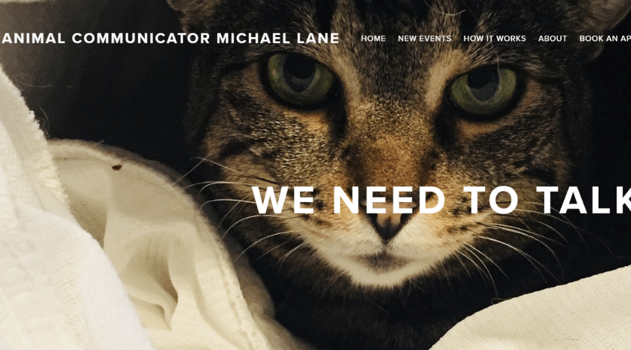 animal michael lane website