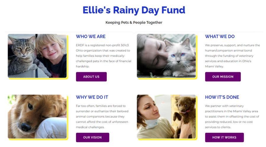 Save Lives And Keep Families Intact │ Ellie's Rainy Day Fund