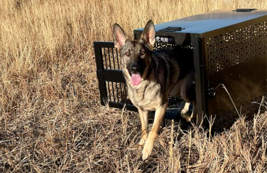 A Stronger Safer Dog Crate - Rock Creek Crates