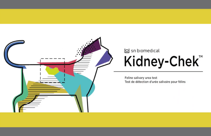 An Affordable and Non-Invasive Way To Detect Kidney Issues │ Kidney-Chek