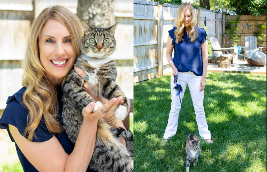 An Impactful Change To Help Feline-Centric Nonprofit Organizations │ Mission Meow