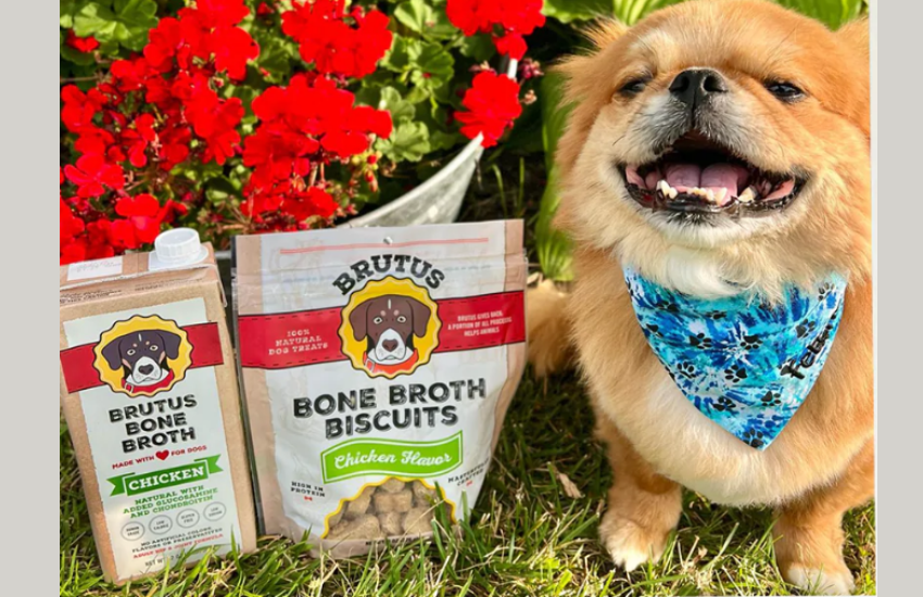 Add Healthier Meals to Your Dog's Diet │Brutus Broth