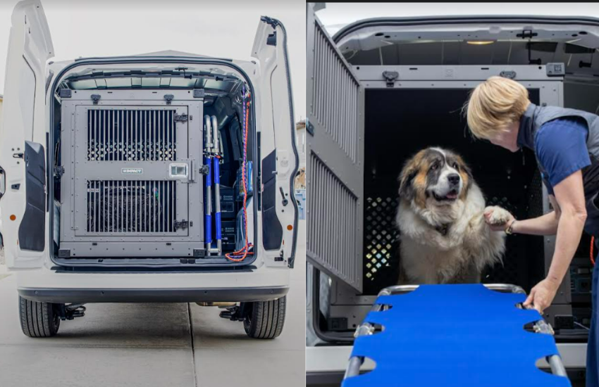 Reliable and Trustworthy Transport Service For Pets In Colorado │ Pet Medical Transport