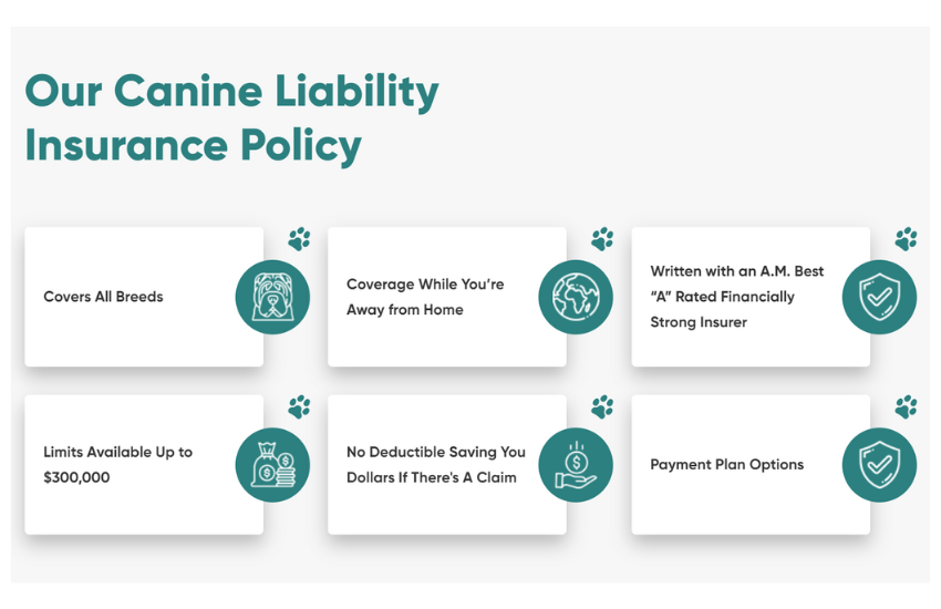 Placing Trust On A Reliable Canine Liability Insurance │ Dog Bite Quote