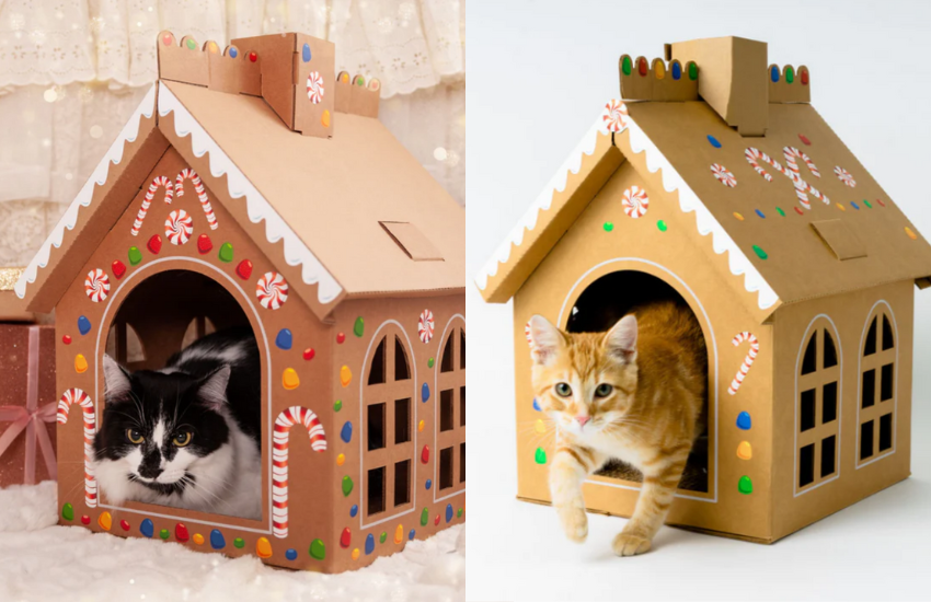 Modern Cardboard Cat Toy Products and Playhouses │ Cat in the Box