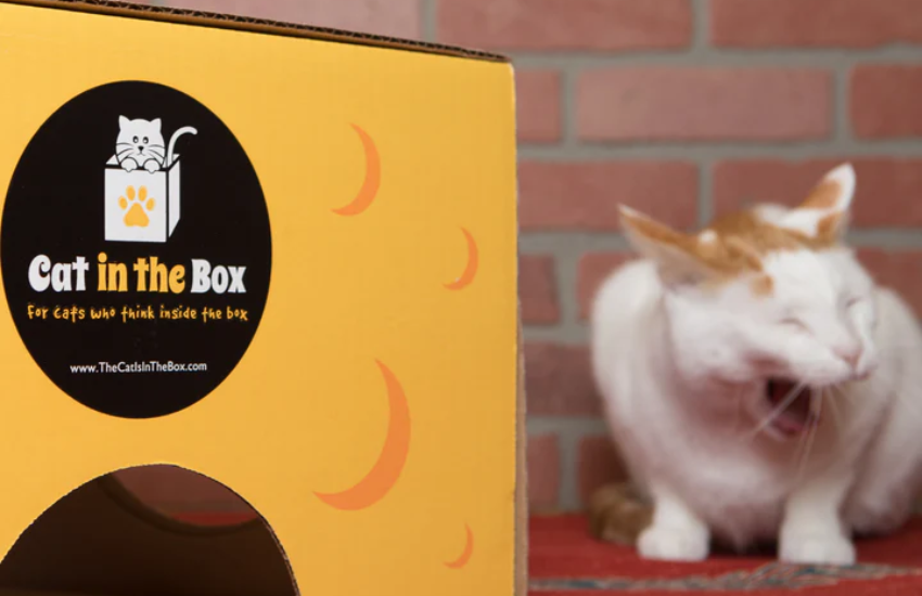 Modern Cardboard Cat Toy Products and Playhouses │ Cat in the Box