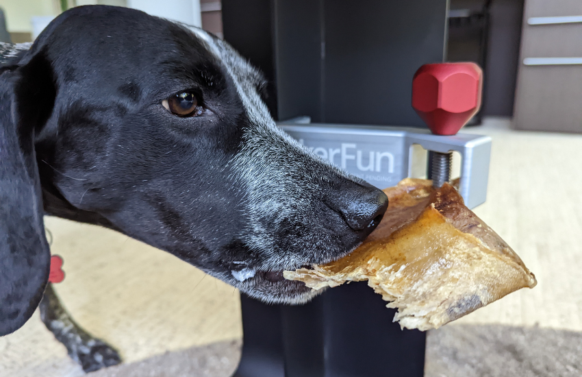 Premium Dog Products: The Indestructible Treat Clincher │BarkerFun