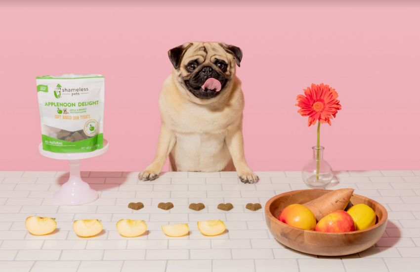 Sustainable Dog and Cat Treats Made From Upcycled Ingredients │ Shameless Pets