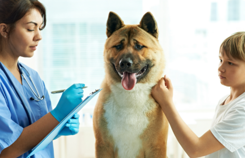 What Breed Of Dogs Get Diabetes? Types, Symptoms, And Treatment
