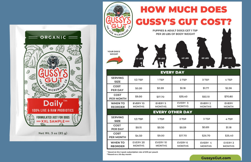 Promoting Better Dog Gut Health With Fermented Whole Superfood Topper │ Gussy’s Gut