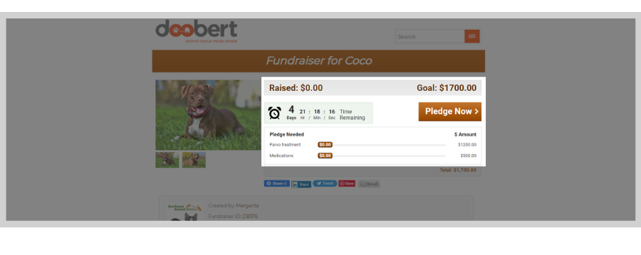 doobert fundraising feature