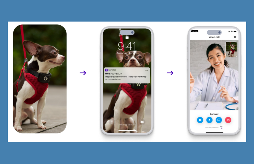 Health And Wellness Monitor For Better Insight On Your Pet │ MyPetGo -  Doobert LIVE