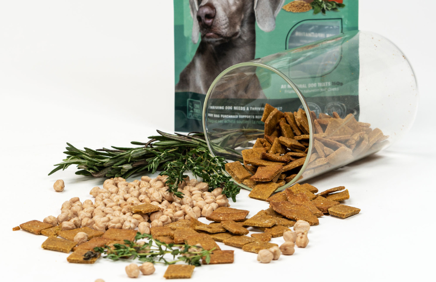 Revolutionizing Your Pet’s Meal With A Plant-Based Dog Nutrition Diet │ Vivus Pets