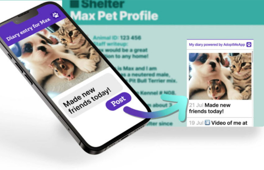 Simple And Fun App That Makes It Easy To Adopt Pets │ AdoptMeApp