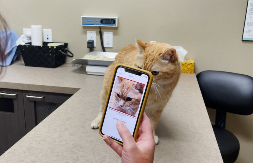 Tably from Sylvester.ai: An App that Uses AI for Feline Pain Assessment