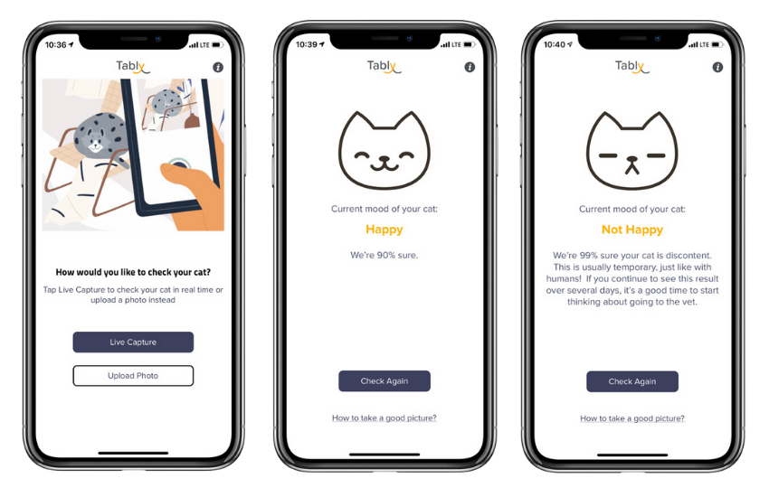 Tably from Sylvester.ai: An App that Uses AI for Feline Pain Assessment