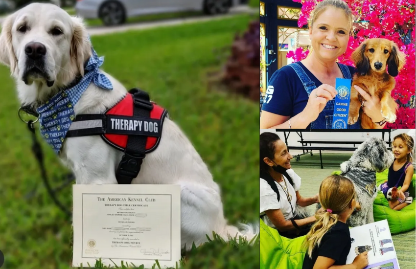 Training Dogs And Owners To Have A Heart | Bonafide Therapy Dogs