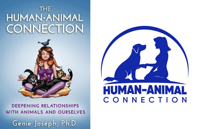 Helping Humans Build A Better Relationship With Animals │ The Human-Animal Connection