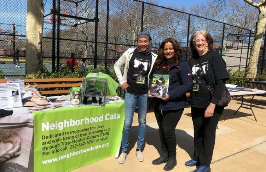 Helping The Street Cat Initiative: Launching Better and Improved TNR Programs │ Neighborhood Cats