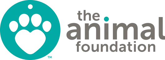 The Animal Foundation