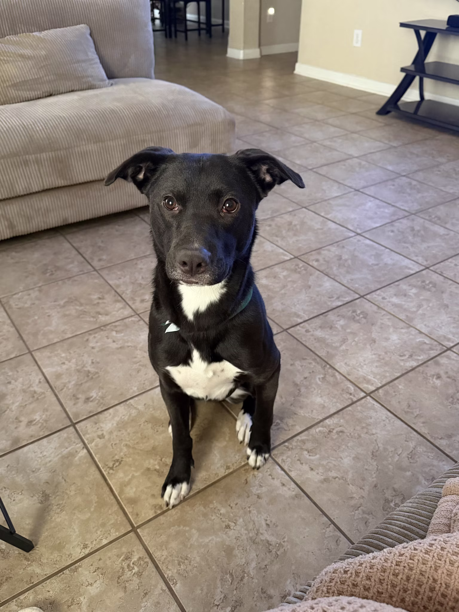Community foster photo