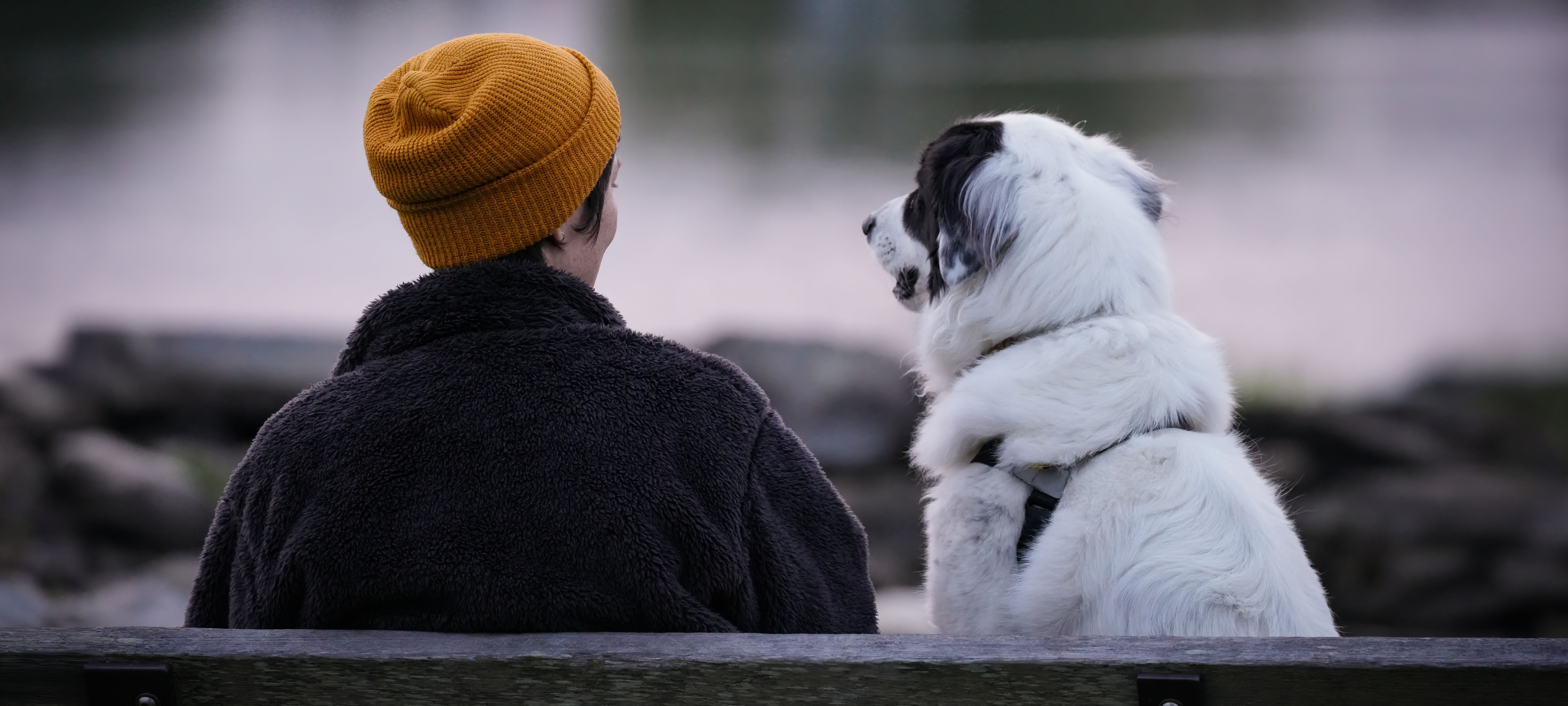 Person sitting with dog on bench