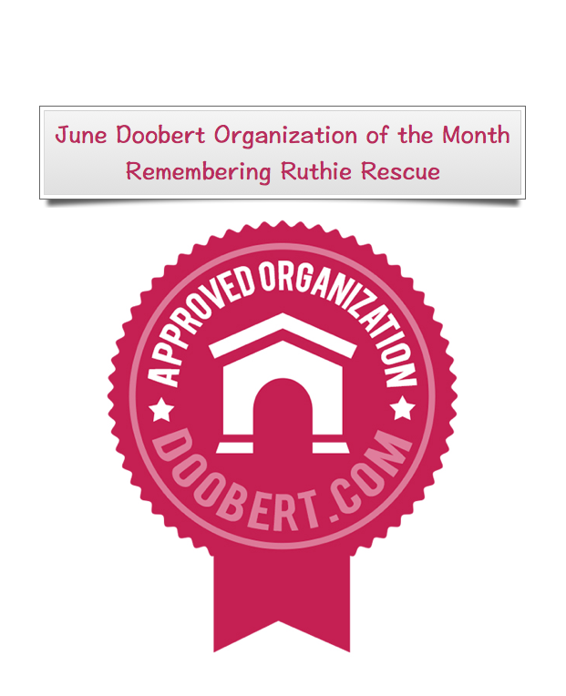 June Doobert Organization of the Month - Remembering Ruthie Rescue