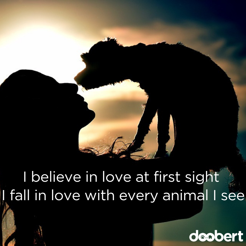 I believe in love at first sight. I fall in love with every animal I see