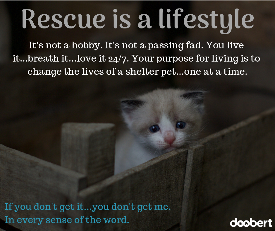 Animal Rescue is a lifestyle...