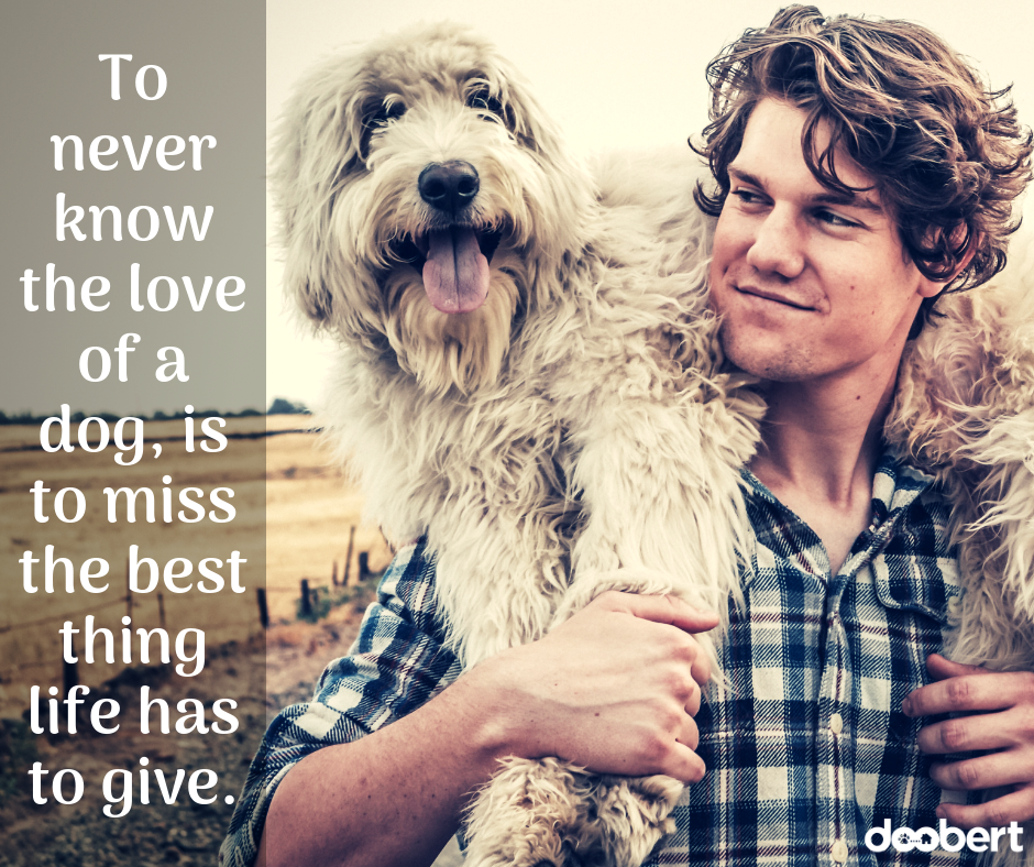 To never know the love of a dog, is to miss the best thing life has to give. (1)