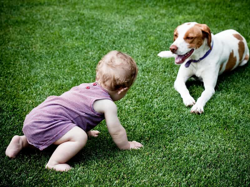 kid with dog on grass