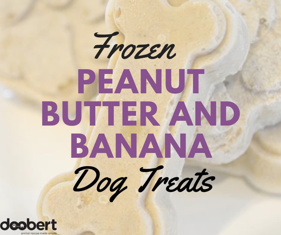Frozen-Peanut-Butter-and-Banana-Dog-Treats