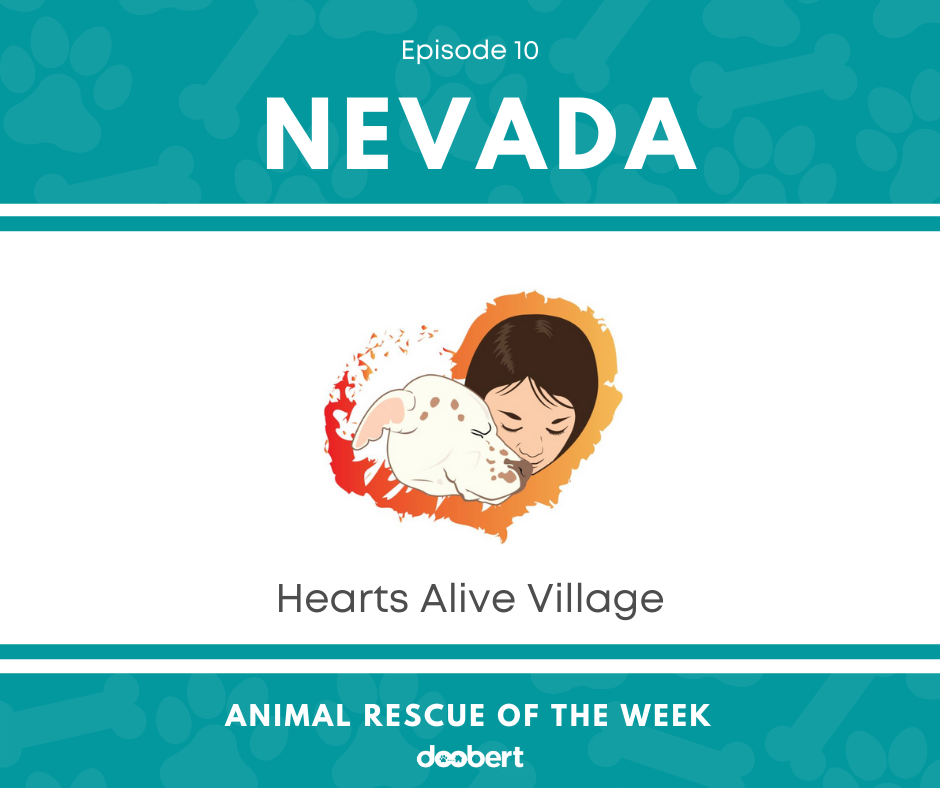 FB 10. Hearts Alive Village_Animal Rescue of the Week